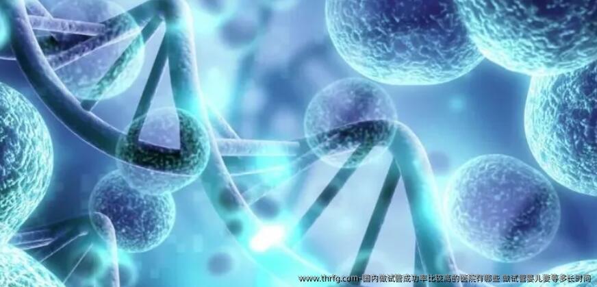 国内做试管成功率比较高的医院有哪些 做试管婴儿要等多长时间