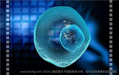 2024上海试管生子医院排名分析，如何选择靠谱的试管医院