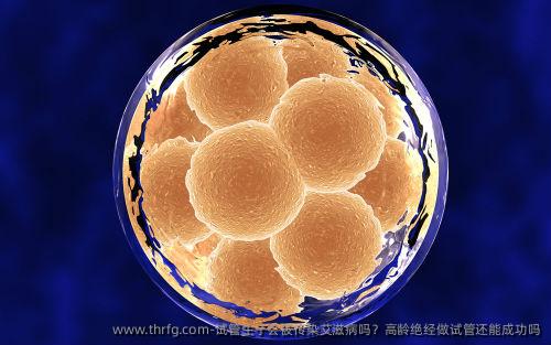 试管生子会被传染艾滋病吗？高龄绝经做试管还能成功吗