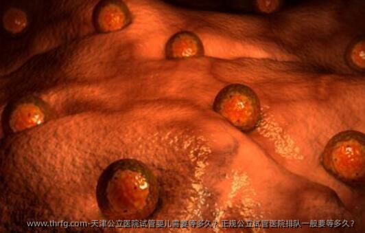 天津公立医院试管婴儿需要等多久？正规公立试管医院排队一般要等多久？