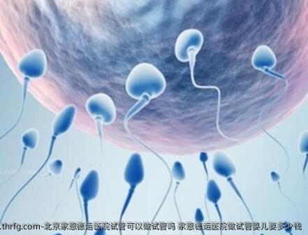 北京家恩德运医院试管可以做试管吗 家恩德运医院做试管婴儿要多少钱