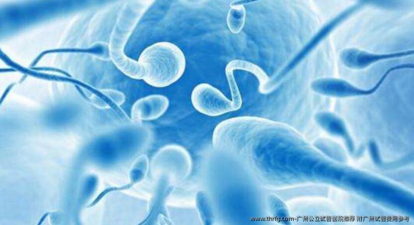 广州公立试管医院推荐 附广州试管费用参考