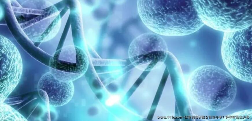 试管也会导致女性宫外孕?怀孕前五点必知