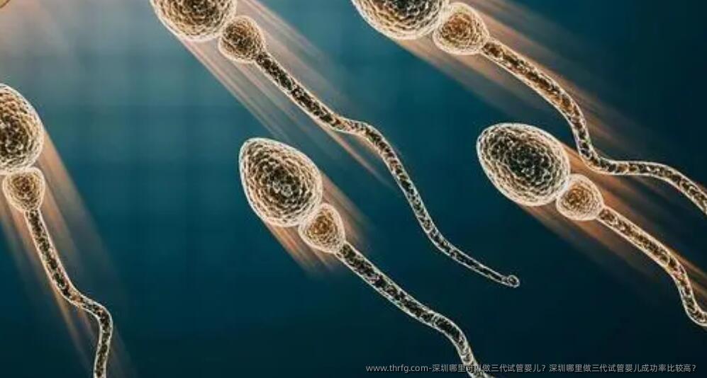 深圳哪里可以做三代试管婴儿？深圳哪里做三代试管婴儿成功率比较高？
