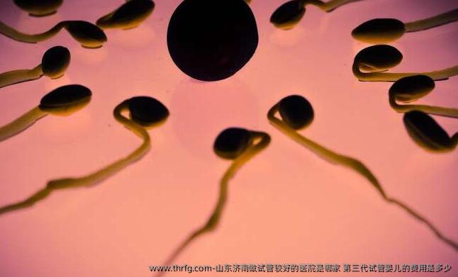 山东济南做试管较好的医院是哪家 第三代试管婴儿的费用是多少