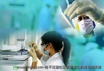 精子质量也是试管婴儿的成功的关键