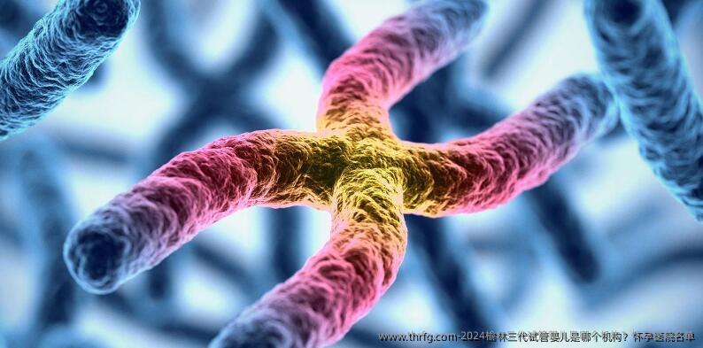 2024榆林三代试管婴儿是哪个机构?怀孕医院名单