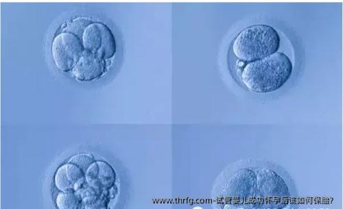 试管婴儿成功怀孕后该如何保胎？