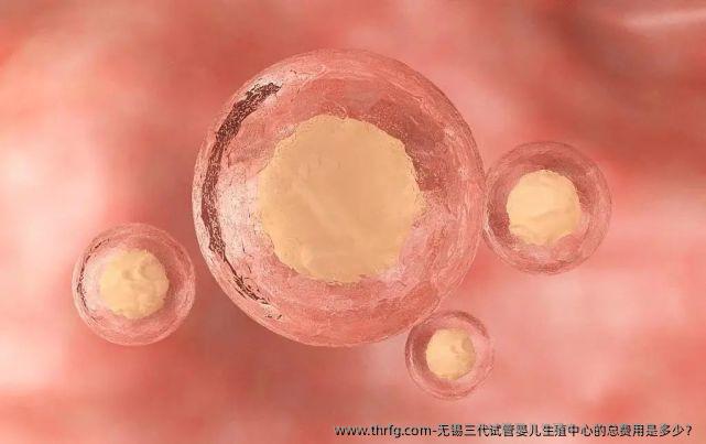 无锡三代试管婴儿生殖中心的总费用是多少？