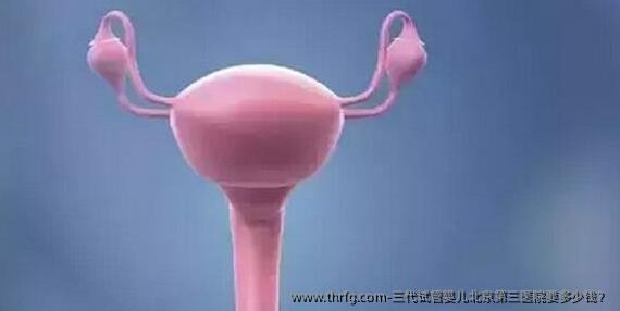 三代试管婴儿北京第三医院要多少钱?