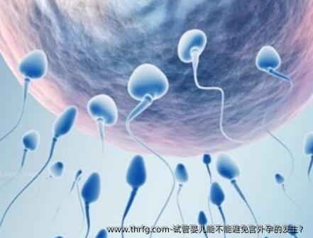 试管婴儿能不能避免宫外孕的发生?