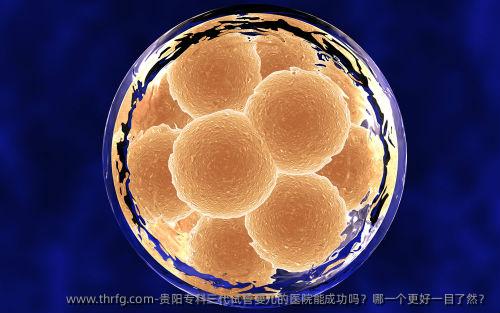 贵阳专科三代试管婴儿的医院能成功吗?哪一个更好一目了然?