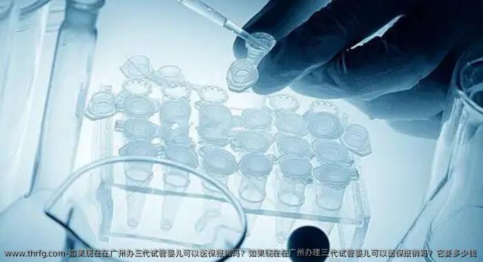 如果现在在广州办三代试管婴儿可以医保报销吗？如果现在在广州办理三代试管婴儿可以医保报销吗？它要多少钱