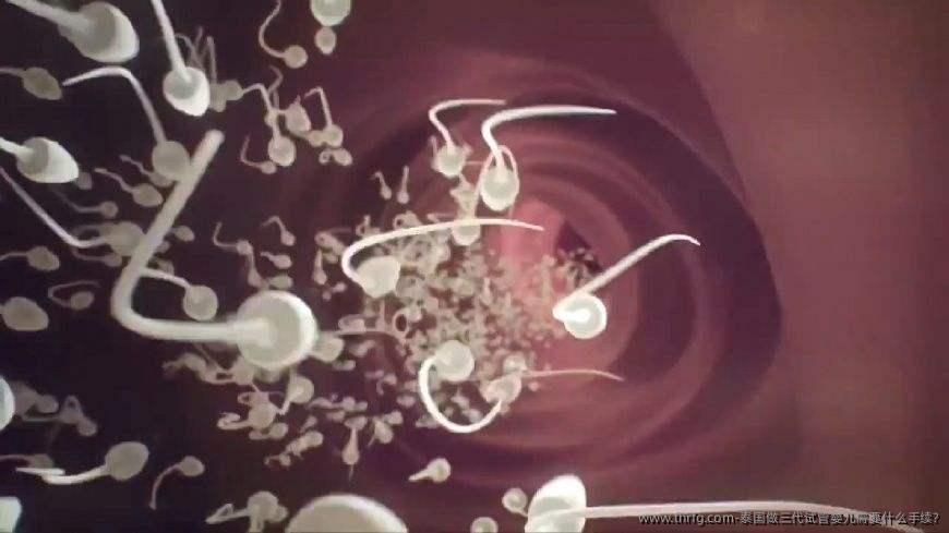 泰国做三代试管婴儿需要什么手续?