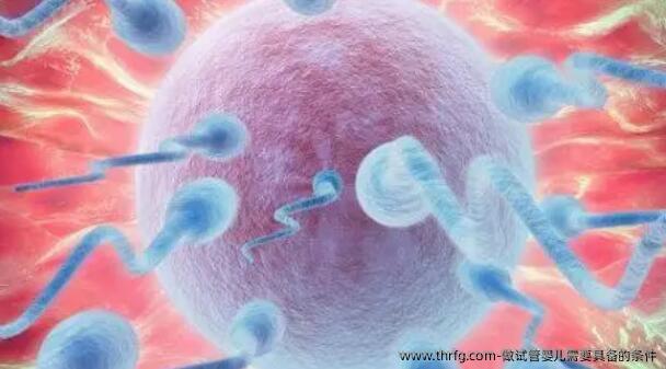 做试管婴儿需要具备的条件