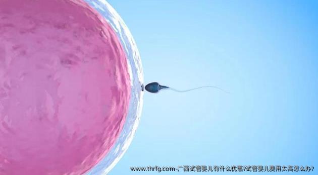 广西试管婴儿有什么优惠?试管婴儿费用太高怎么办?
