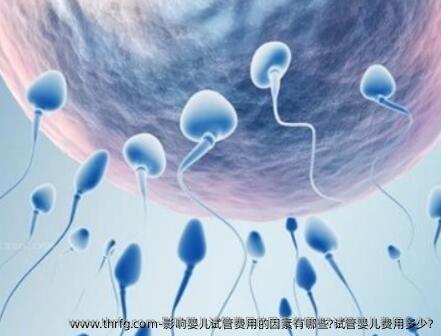 影响婴儿试管费用的因素有哪些?试管婴儿费用多少?