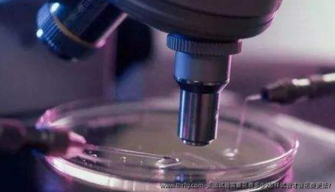 美国试管需要花费多少?怎样试管才会花费更低?