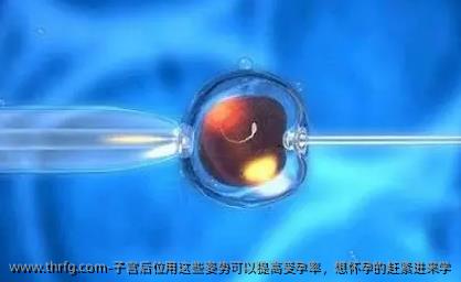 子宫后位用这些姿势可以提高受孕率，想怀孕的赶紧进来学