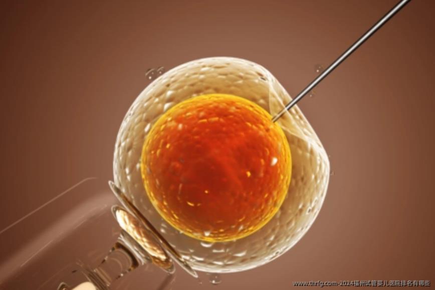 2024福州试管婴儿医院排名有哪些