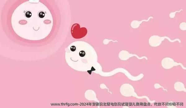 2024年安徽皖北煤电总院试管婴儿费用盘点，代数不同价格不同