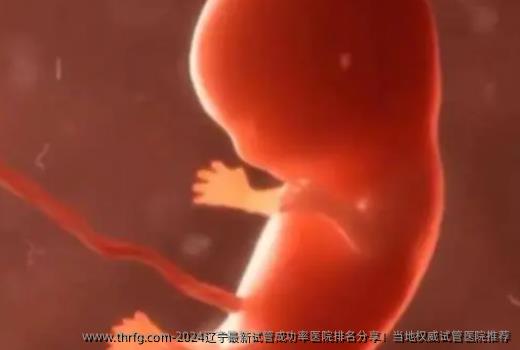 2024辽宁最新试管成功率医院排名分享！当地优秀试管医院推荐