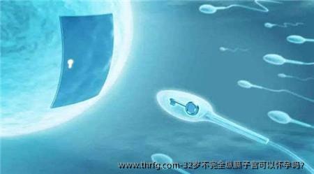 32岁不完全纵膈子宫可以怀孕吗?