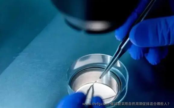 做试管采用自然周期促排适合哪些人？
