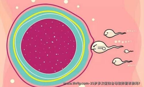 35岁多次促排会导致卵巢早衰吗？