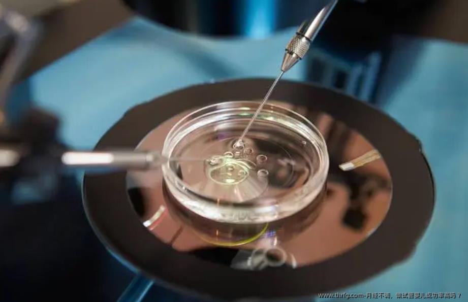 月经不调,做试管婴儿成功率高吗 ?