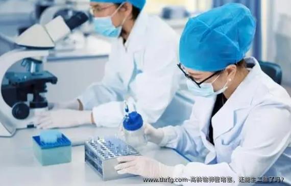 高龄输卵管堵塞，还能生二胎了吗？