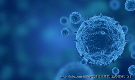 在安徽芜湖做试管婴儿助孕要多少钱？