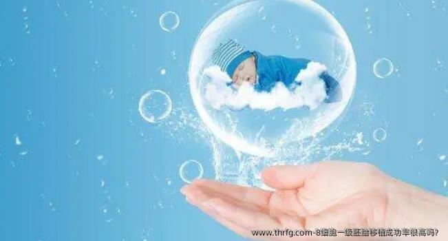 8细胞一级胚胎移植成功率很高吗?