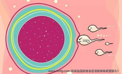 有高血压的患者是否能够做试管婴儿？