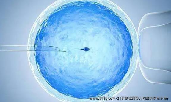 31岁做试管婴儿的成功率高不高?