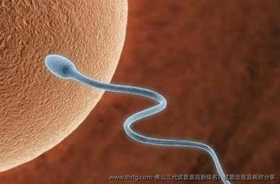 佛山三代试管医院新排名!试管流程及耗时分享