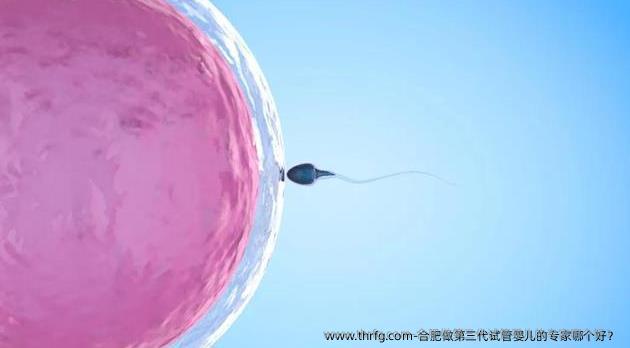 合肥做第三代试管婴儿的专家哪个好？ 