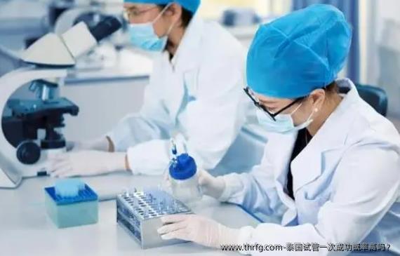 泰国试管初次成功概率高吗?