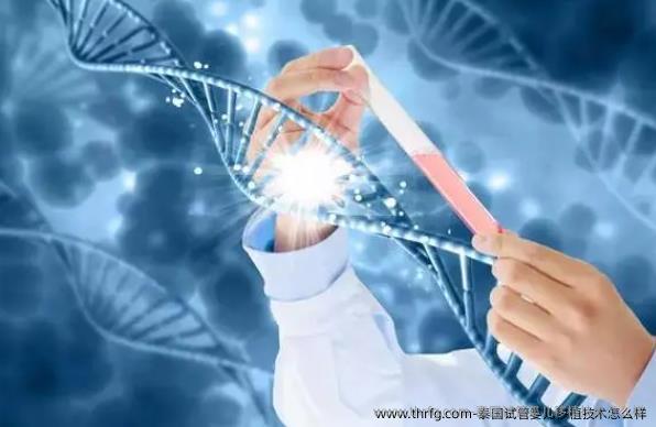 泰国试管婴儿移植技术怎么样