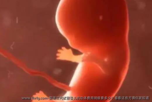昆明三代试管婴儿的总体费用明细要多少？看看这些方面你就知道
