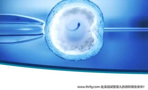 赴泰国试管婴儿的都有哪些条件？