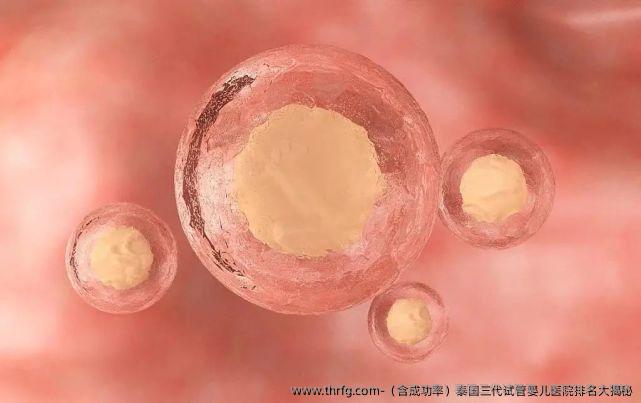 (含成功率)泰国三代试管婴儿医院排名大揭秘