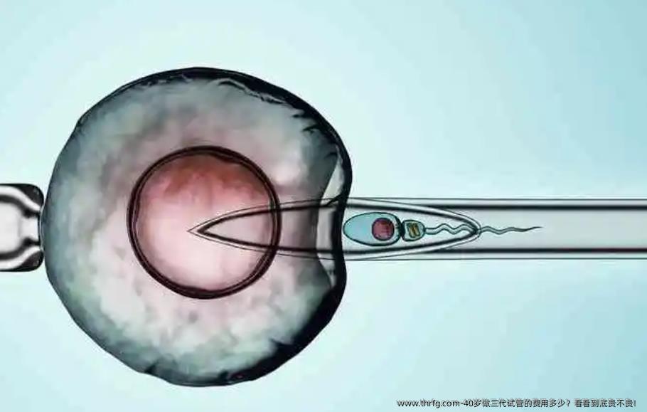 40岁做三代试管的费用多少?看看到底贵不贵!