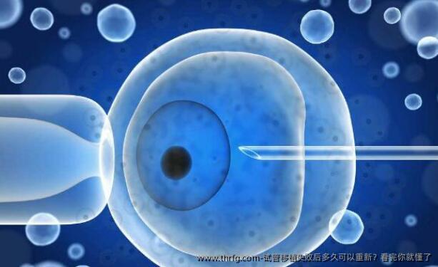 试管移植失败后多久可以重新?看完你就懂了