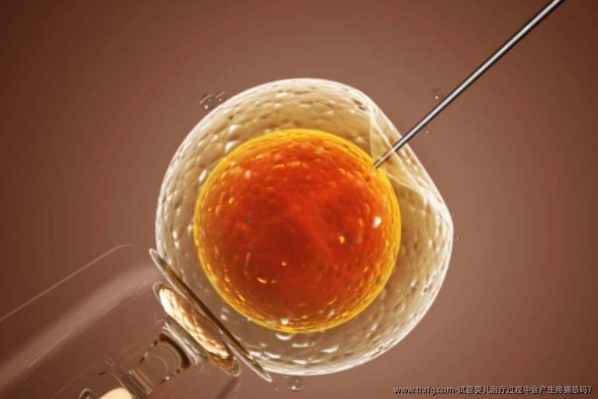 试管婴儿治疗过程中会产生疼痛感吗?