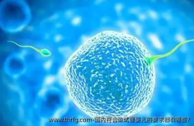 国内符合做试管婴儿的要求都有哪些?