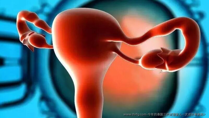 今年的泰国三代试管婴儿初次成功率高吗?