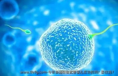 今年泰国有做试管婴儿成功的吗？是你吗？