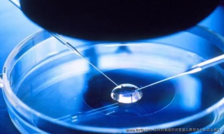 选择的泰国的试管婴儿费用为什么这么贵？