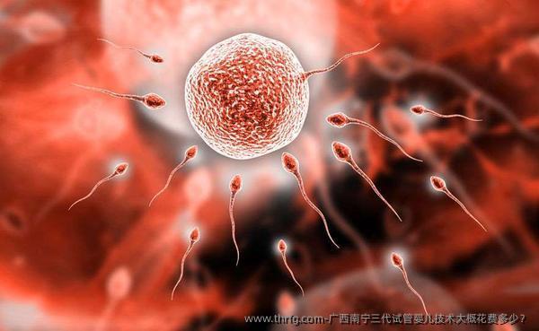 广西南宁三代试管婴儿技术大概花费多少？